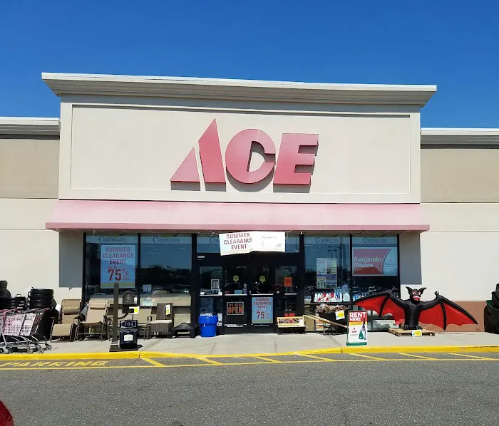 Costello's Ace Hardware of West Babylon 3
