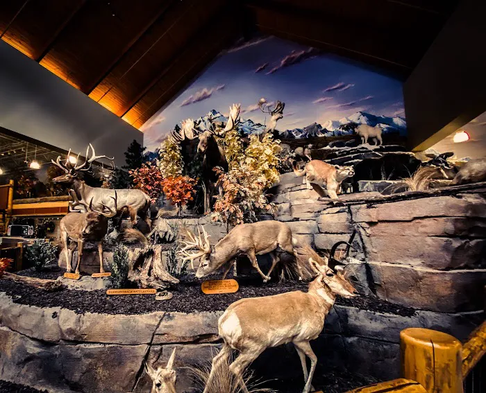 Cabela's 4