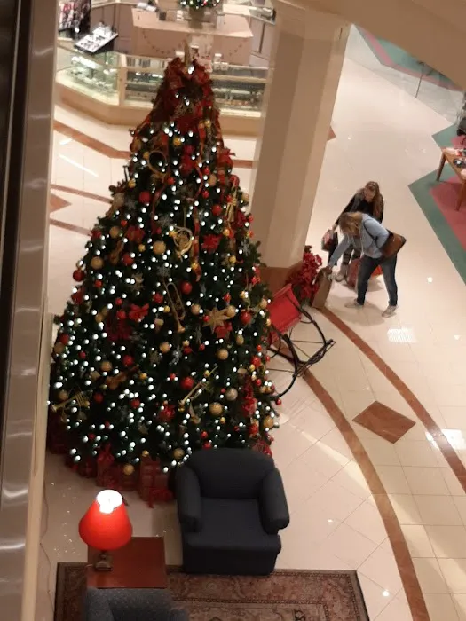 Von Maur 9