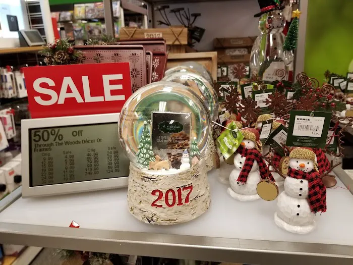 Kohl's 8