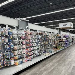 Meijer ico