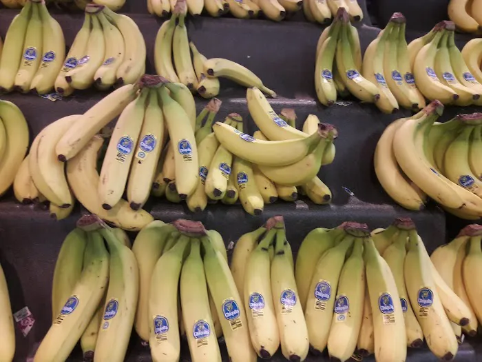 Meijer 2