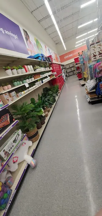 Big Lots 2