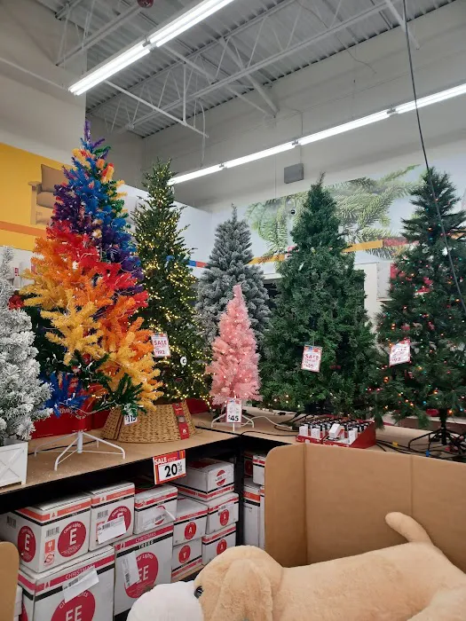 Big Lots 4