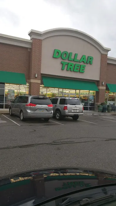 Dollar Tree 3
