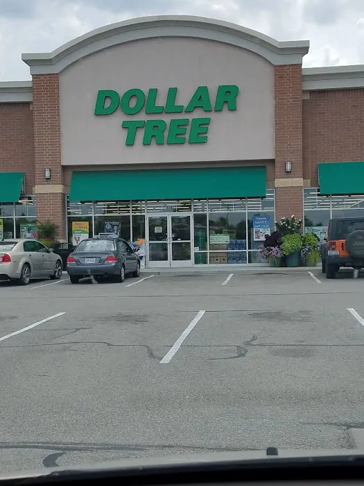 Dollar Tree 2