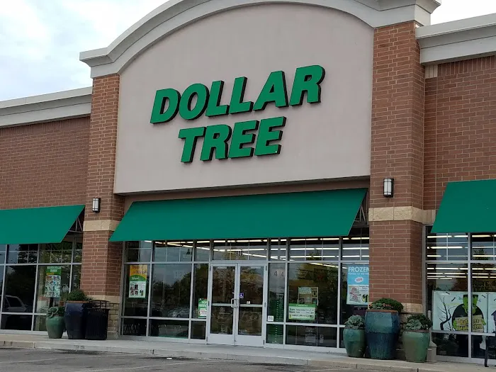 Dollar Tree 8