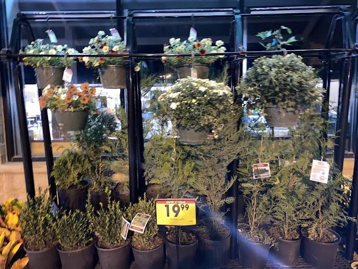 Kroger 2