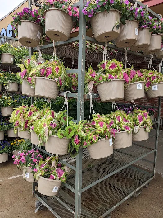 Kroger 3