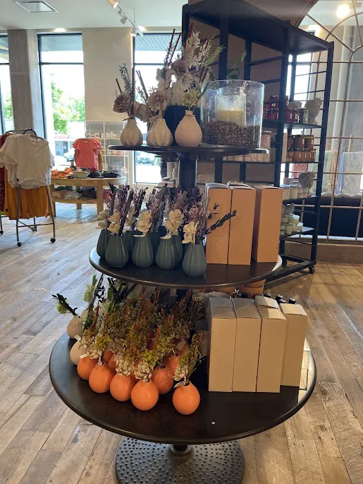 Anthropologie 4
