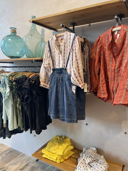 Anthropologie 3