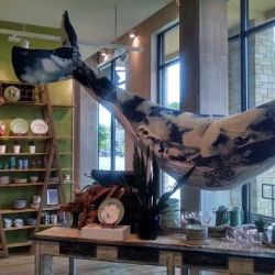 Anthropologie ico