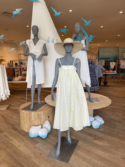 Anthropologie 1