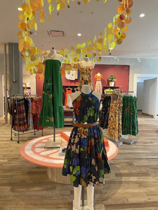 Anthropologie 5