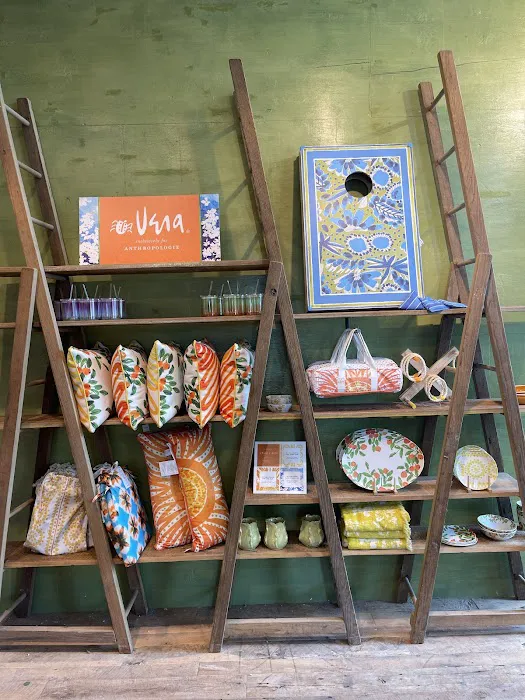 Anthropologie 7