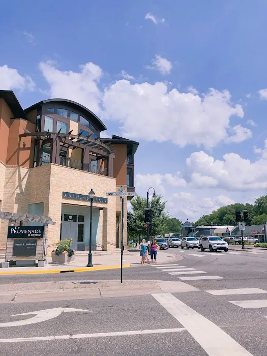 Anthropologie 8