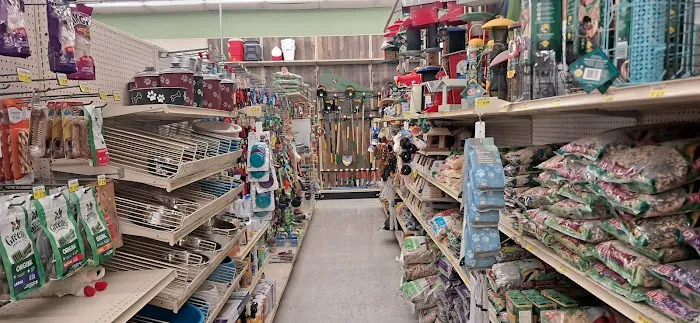 Westlake Ace Hardware 3