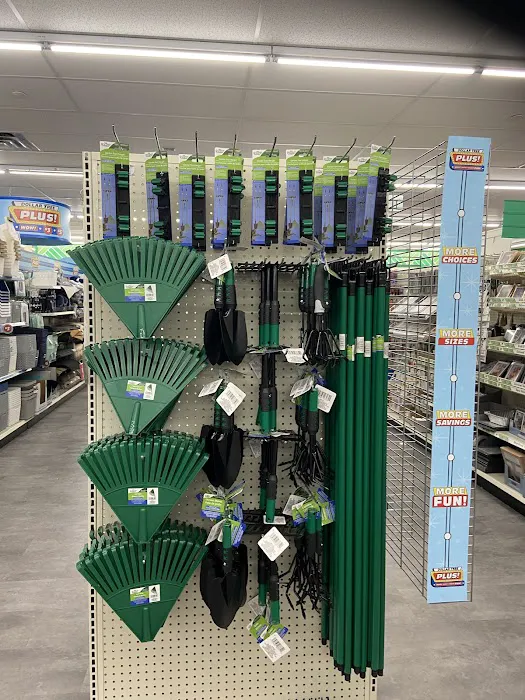 Dollar Tree 5