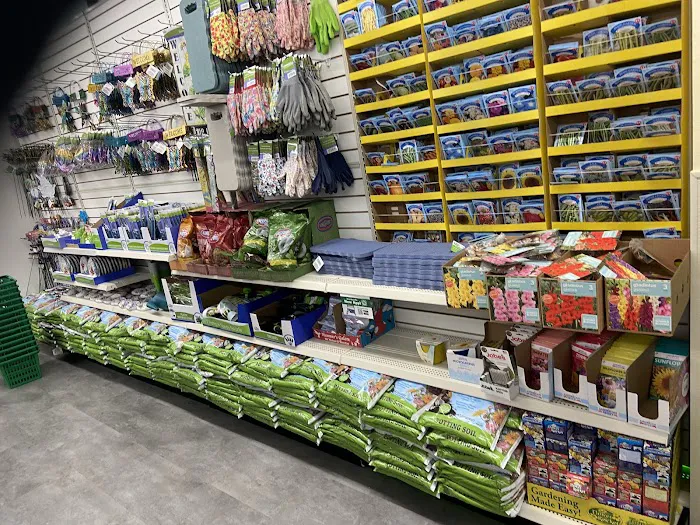 Dollar Tree 6