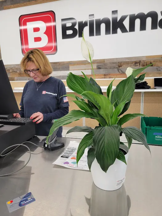 Brinkmann's 3