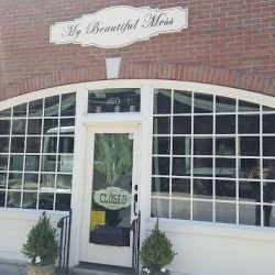 Schaefer's Ace Hardware ico