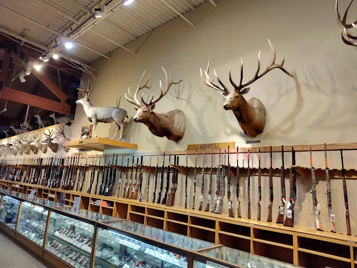 Cabela's 4