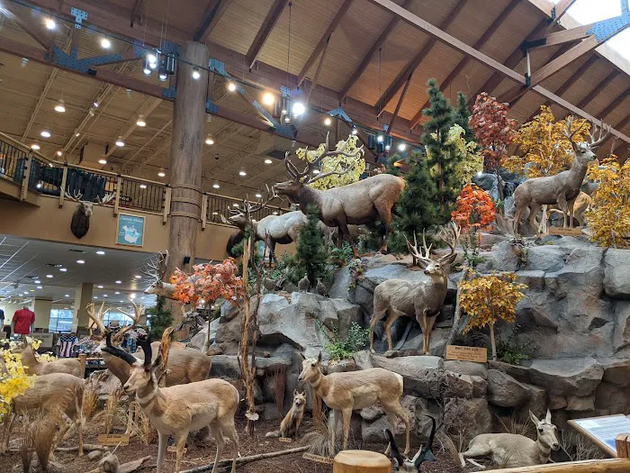 Cabela's 2
