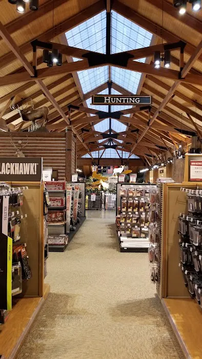 Cabela's 8