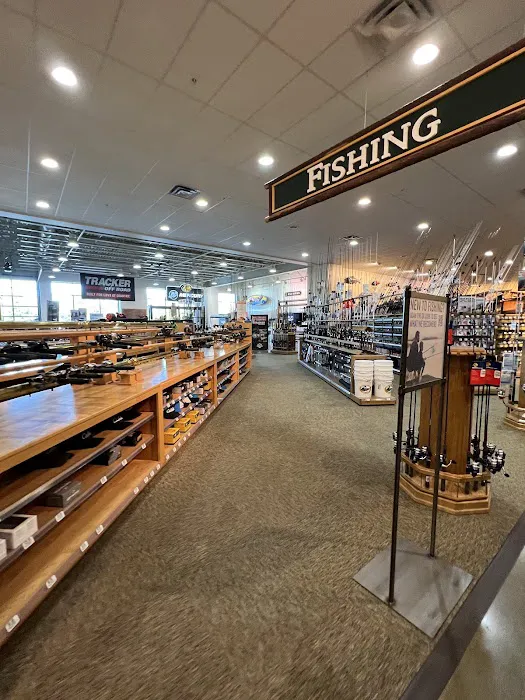 Cabela's 3