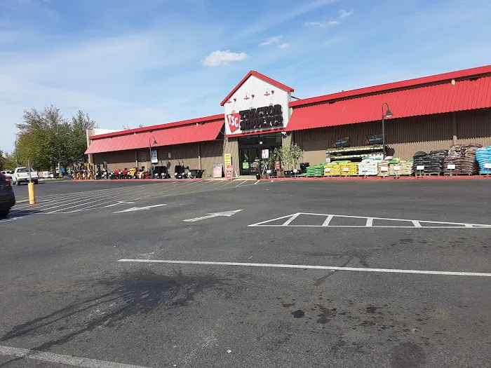 Martin Way Marketplace 7