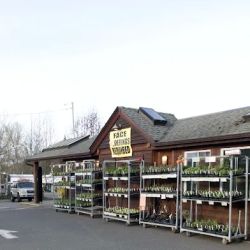 Olympia Food Co-op ico