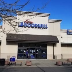 Lacey Goodwill ico