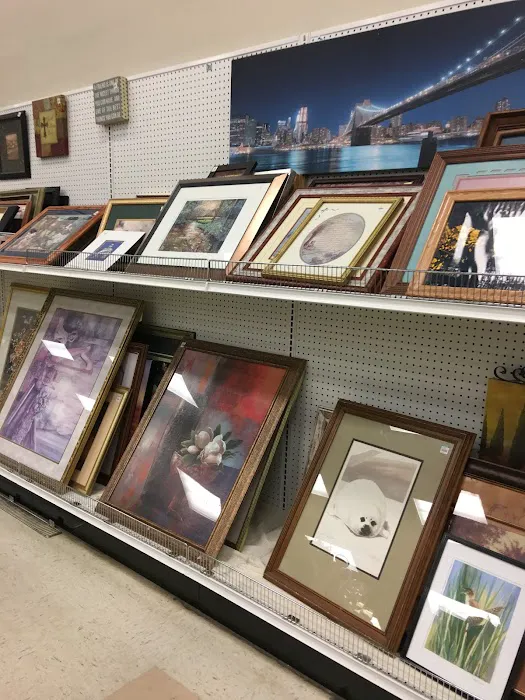Lacey Goodwill 4