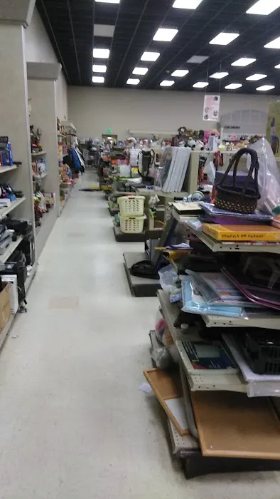 Lacey Goodwill 5