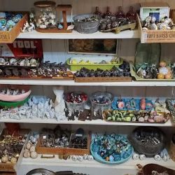 Pickers in Paradise ico