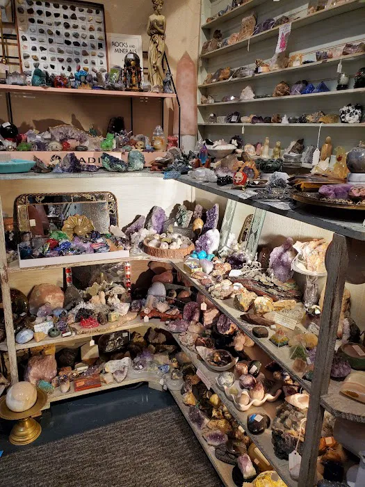 Pickers in Paradise 5