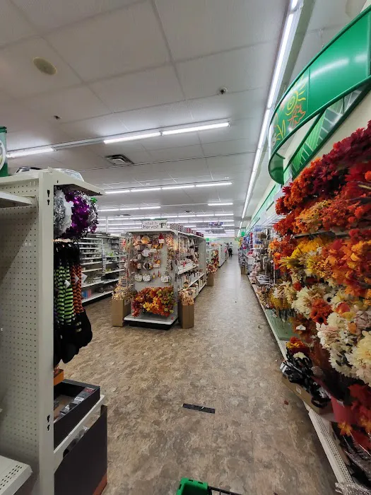 Dollar Tree 6