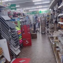 Dollar Tree ico