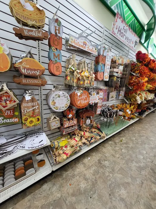 Dollar Tree 7