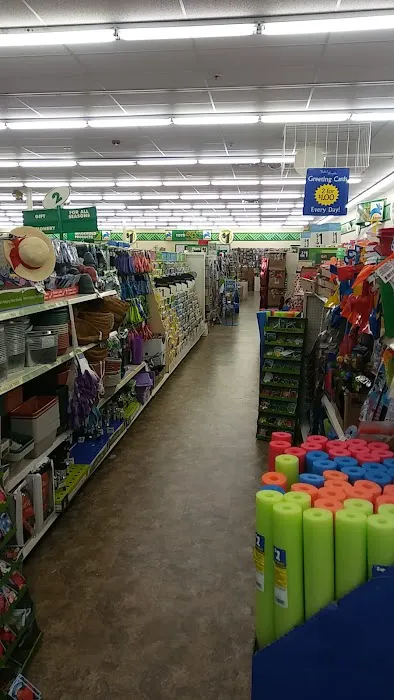 Dollar Tree 9