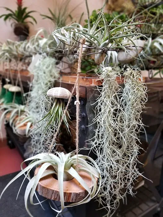 Capitol Florist 6