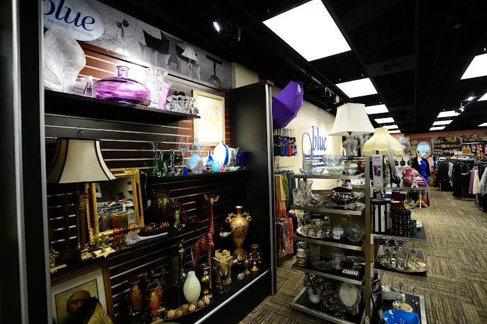 Blue, A Goodwill Boutique - Olympia 9