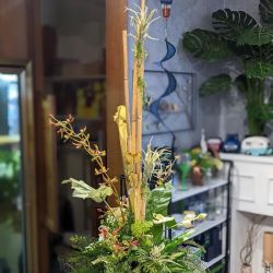 Cugini Florists & Fine Gifts ico