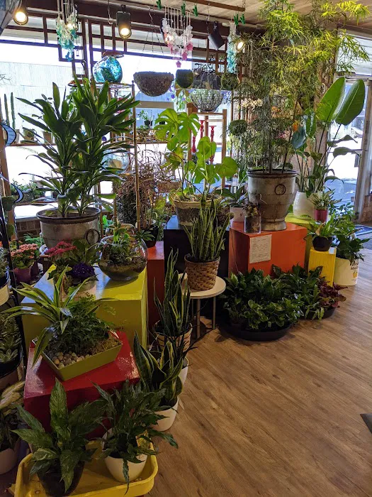 Cugini Florists & Fine Gifts 7