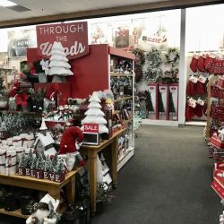 Kohl's ico