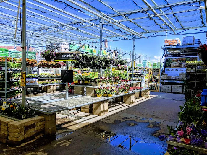 The Home Depot 8