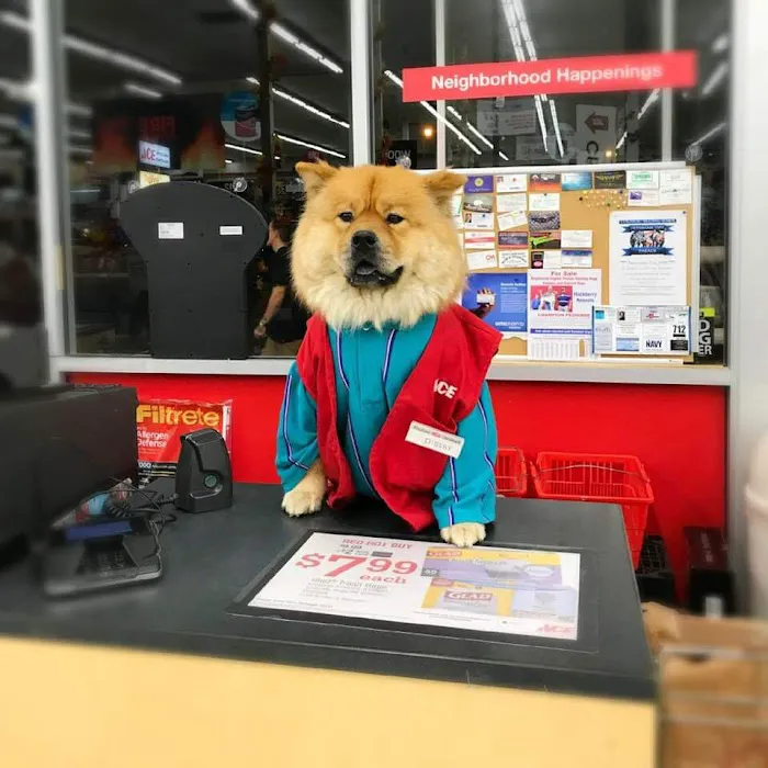 Westlake Ace Hardware 2