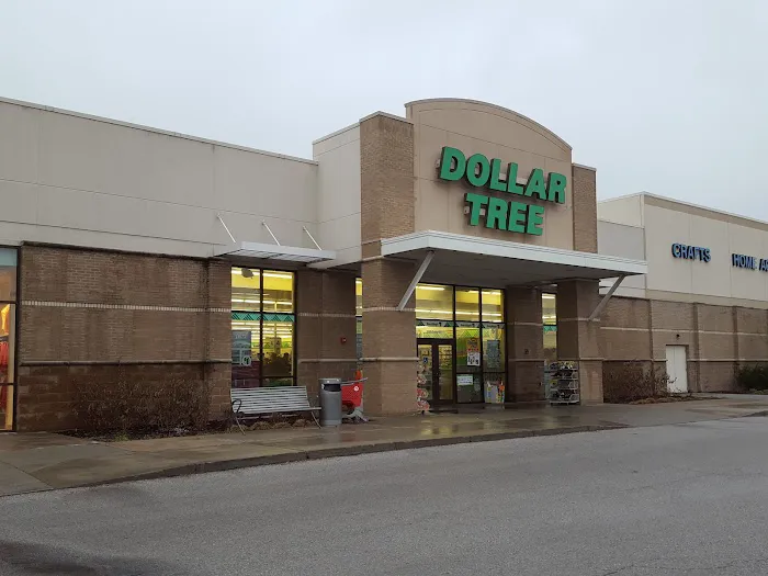 Dollar Tree 8