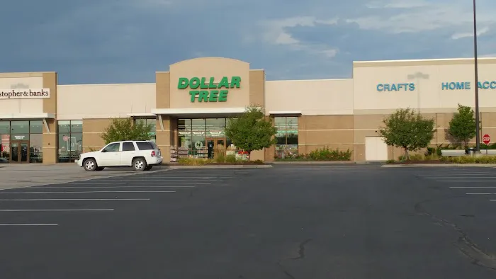 Dollar Tree 7