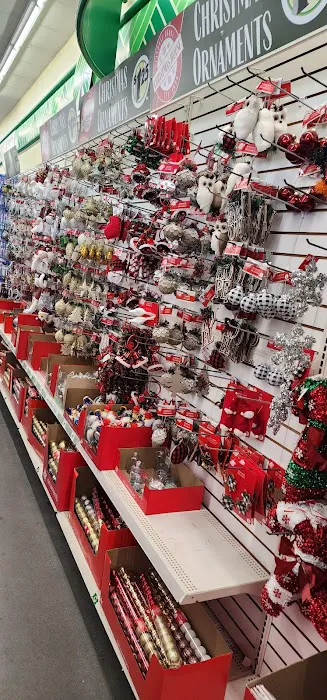 Dollar Tree 6
